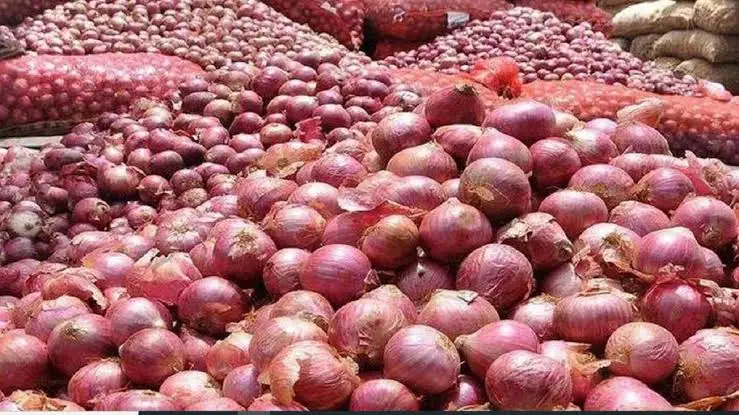 महंगाई की मार और बढ़ेगी! प्याज हो सकता है महंगा, सरकार ने बढ़ाई खरीद कीमत, कई सब्जियों के दाम पहले ही आसमान पर