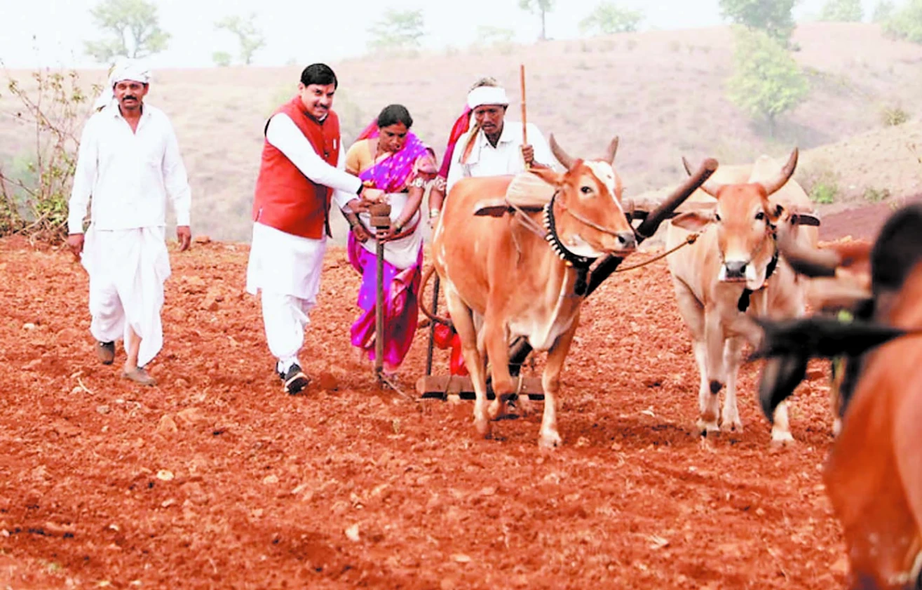 बैतूल के कुकरू में CM मोहन का सहज अंदाज़ बना आकर्षण का केंद्र, किसानों और ग्रामीणों से जोड़ा आत्मीय रिश्ता