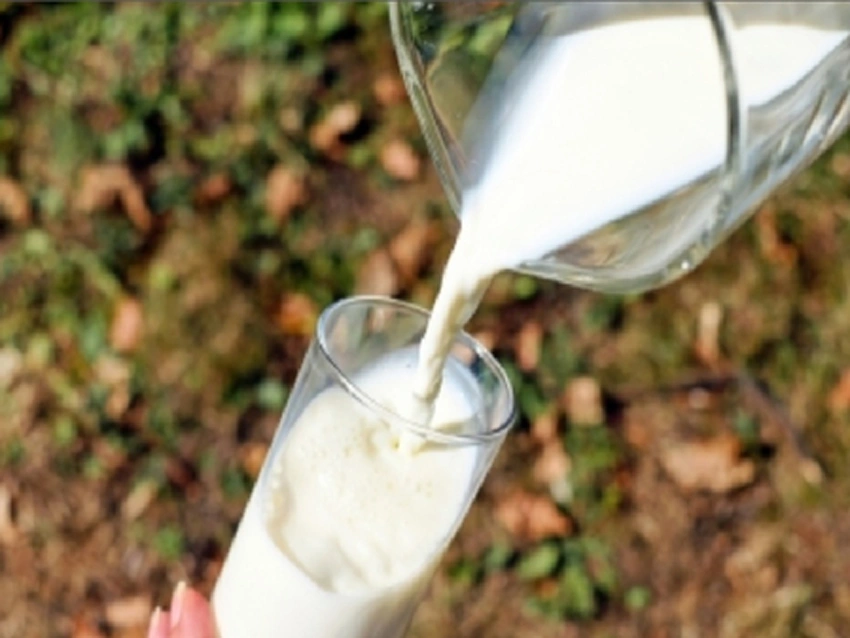 जानें गर्मियों में कैसे बढ़ाए दूध के औषधीय गुण