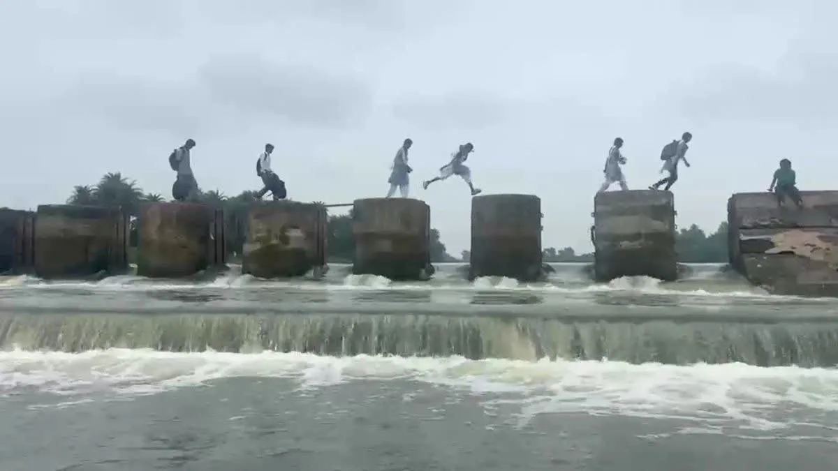 उफनती बेतवा पर स्टॉप डैम पार कर स्कूल पहुंच रहे बच्चे, VIDEO वायरल; प्रशासन ने लिया संज्ञान