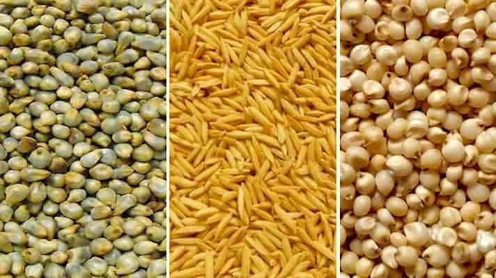 धान-ज्वार-बाजरा पंजीयन की तारीख तय, संदेश भेजकर दी जाएगी जानकारी